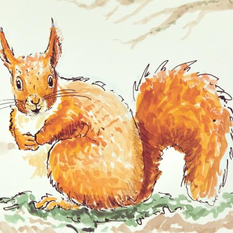 "Discover the secrets of the red squirrel genome" at New Scientist Live